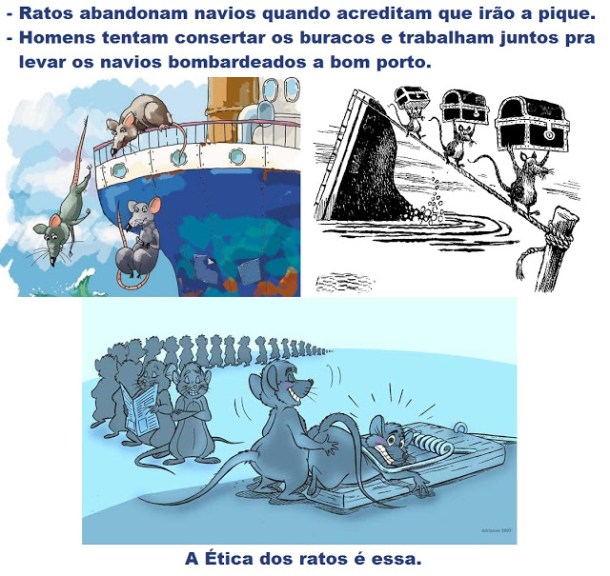 ratos no navio