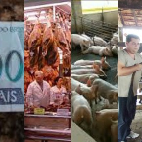 A loucura do Real se&nbsp;valorizando