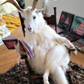 A desculpa para&nbsp;tudo