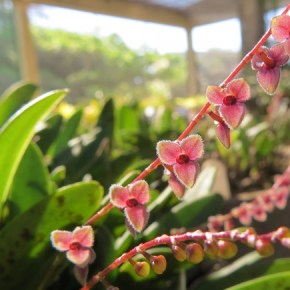 OS MAIORES CRIMES AMBIENTAIS DO RIO GRANDE DO&nbsp;SUL