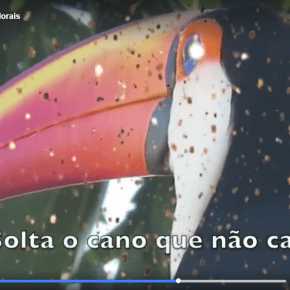 Marchinha do Carnaval mostra como tratar “vazamentos”: Solta o&nbsp;cano!