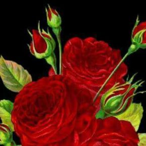 NOSSA PRIMEIRA BANDEIRA É A LUTA (Por Adroaldo Correa, sobre Marisa&nbsp;Letícia)