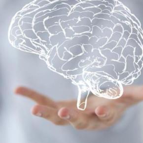 Método de Análise de Personalidade através das Curtidas no Facebook ajudou a eleger&nbsp;Trump