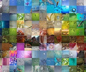 BOLHA DE FILTRAGEM. COMO EVITAR ESSA ARAPUCA NAS REDES&nbsp;SOCIAIS