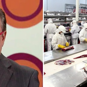 FLORESTAN APONTA INTERESSE DOS EUA NA DESTRUIÇÃO DO BRASIL&nbsp;“