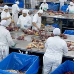 Deputados Estaduais do RS farão Audiência Pública sobre Operação Carne&nbsp;Fraca