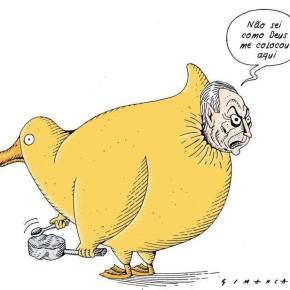 Os estranhos patos amarelos que deus colocou no&nbsp;mundo…