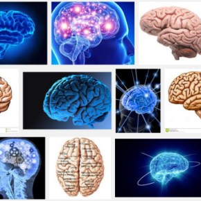 O CLIC (Por Selvino&nbsp;Heck)