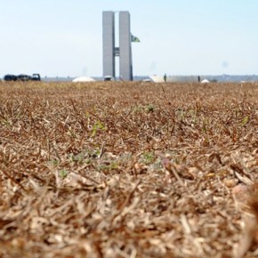 A SECURA DE BRASÍLIA (Por Selvino&nbsp;Heck)