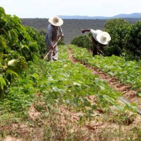 Deforma trabalhista:Baleado em serviço, trabalhador é demitido e vai ter que pagar indenização a&nbsp;ex-patrão