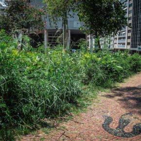 Porto Alegre: Do abandono ao mato, um retrato de praças e parques da&nbsp;Capital