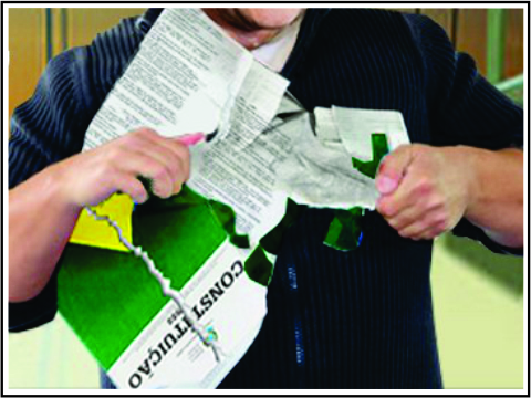 Rasgada constituição