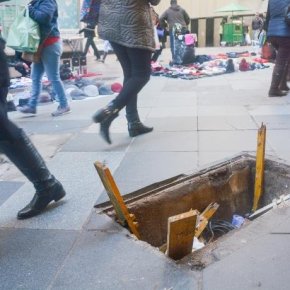 Porto Alegre:Tucano fora de seu habitat faz buracos por toda a cidade como se fossem&nbsp;ninhos