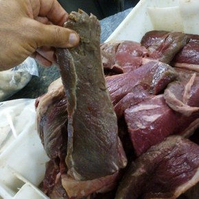 Antes carne podre era proibida. Agora Futura ministra quer acabar com inspeção diária em frigoríficos do&nbsp;País