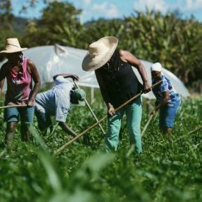 Ao acabar com o Conselho de Segurança Alimentar, Bolsonaro ataca a Agricultura Familiar e a Saúde do&nbsp;povo