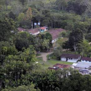 Escola do MST desenvolve embalagens sustentáveis de banana&nbsp;verde