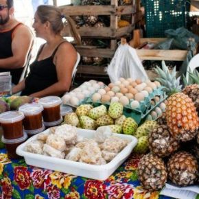Com apoio de Lula, redes se mobilizam contra proibição de Doria à feira do MST 