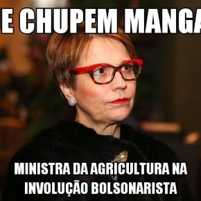 Ministra da Agricultura diz que brasileiro não passa fome “porque nós temos manga nas nossas&nbsp;cidades”