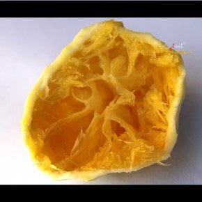 Bolsonaro publica texto que o mostra transformado em bagaço e cuspido fora pelo Capital&nbsp;financeiro