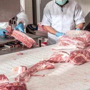 45% dos acidentes de trabalho no Brasil acabam em morte ou invalidez permanente.Frigoríficos de&nbsp;destacam