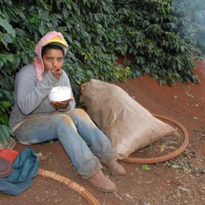 MP 871: “Fraude não está no BPC nem na aposentadoria rural. está nos empresários sonegadores”, diz&nbsp;Senador