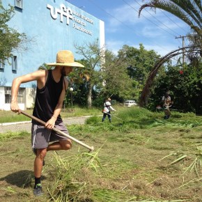 Quem faz as universidades e institutos&nbsp;federais