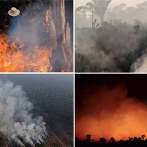 Incêndios na Amazônia: Merkel e Macron pedem que o G7 debata ‘emergência’