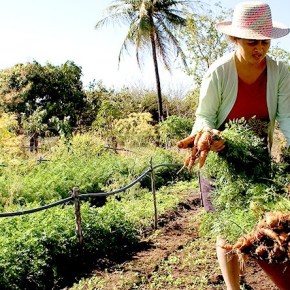Bolsonaro quer devolver terras desapropriadas pela Reforma Agraria para mega latifundiários&nbsp;improdutivos