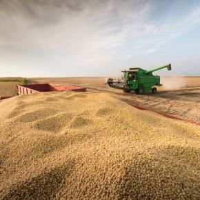 Soja gaúcho exportou 48% a menos no 1º Semestre. Exportações do Agro negócio também caem, diz Zero Hora nas&nbsp;entrelinhas