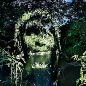 Democracia e meio ambiente (Por Senador Paulo&nbsp;Paim)