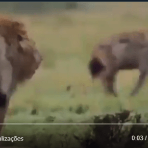 Bolsonaro posta vídeo ridículo, é esculachado e depois apaga. Mas a gente&nbsp;mostra