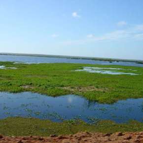 LAC: Eduardo Leite  promove a Luta de Classes ao tentar tirar até o Ambiente dos Trabalhadores&nbsp;gaúchos