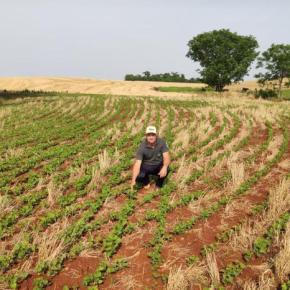 As Sementes transgênicas da Ideologia Neo&nbsp;Liberal