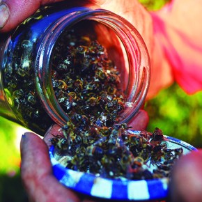 Brasil de Fato RS conquista menção honrosa no Prêmio Direitos Humanos de&nbsp;Jornalismo