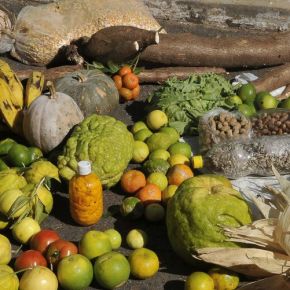 Fascinante é produzir comida de&nbsp;verdade