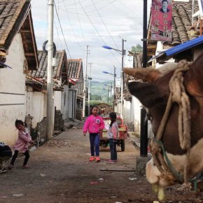 A China põe fim à pobreza em&nbsp;2020?