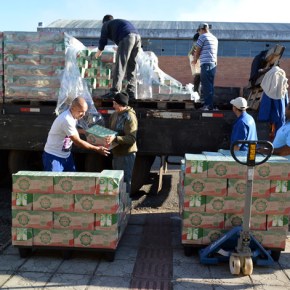 Sem Terra doam 50 mil litros de leite para Banco de Alimentos de&nbsp;SC