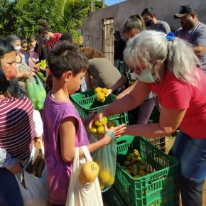 Assentamento em antiga fazenda improdutiva no Paraná doa 8 toneladas de&nbsp;alimentos