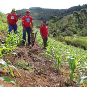 Sobre o pós pandemia: Se não plantar agora, a fome virá em seguida (Por Frei Sérgio&nbsp;Görgen)