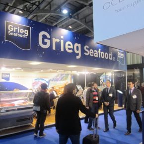 Começou: Empresa da Noruega suspende compra de ração em retaliação a desmatamento no&nbsp;Brasil