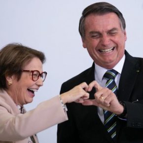 Brasil exporta arroz que falta aqui pro mundo. Mas importa arroz que o mundo não quer, por que falta aqui?&nbsp;Entendeu?