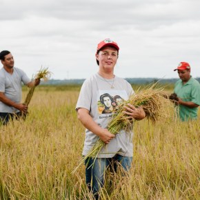 MST vende arroz barato e reafirma seu papel estratégico no combate à&nbsp;fome