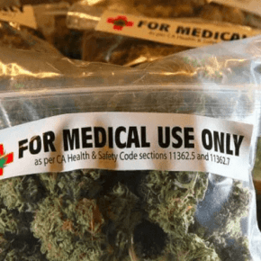 A maconha é considerada o melhor tratamento para a&nbsp;fibromialgia