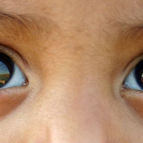 Sobre as eleições: DEPOIS DO VENDAVAL, UM BRILHO NO OLHAR (Por Selvino&nbsp;Heck)