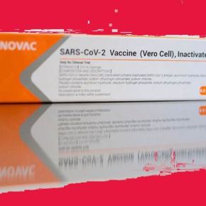 Vacina chinesa, em parceria com o Butantan, garantiu 100% de proteção contra casos graves da&nbsp;Covid