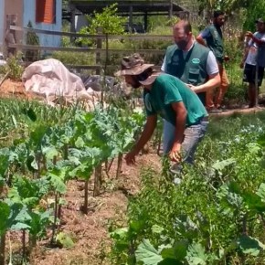 Avião clandestino pulveriza veneno sobre Assentamento do MST em Nova Santa Rita, referência em Arroz&nbsp;Agroecológico