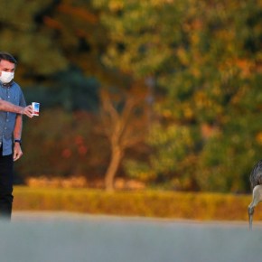 Em carta com 200 nomes, ganhadores do Nobel e pesquisadores alertam contra ataques à ciência no&nbsp;Brasil