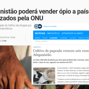 Ocupação Americana transformou o Afeganistão num dos maiores produtores de Papoula, ópio e heroína do&nbsp;mundo