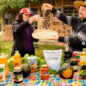 Terra Livre de Agrotóxicos e de Bancos privados é possível? Parceria entre COOTAP e CRESOL mostra que&nbsp;sim