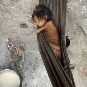 Eles estão matando as&nbsp;criancinhas!